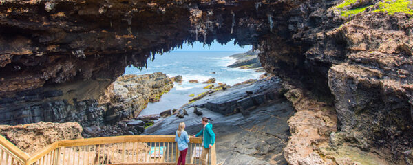 kangarou Island