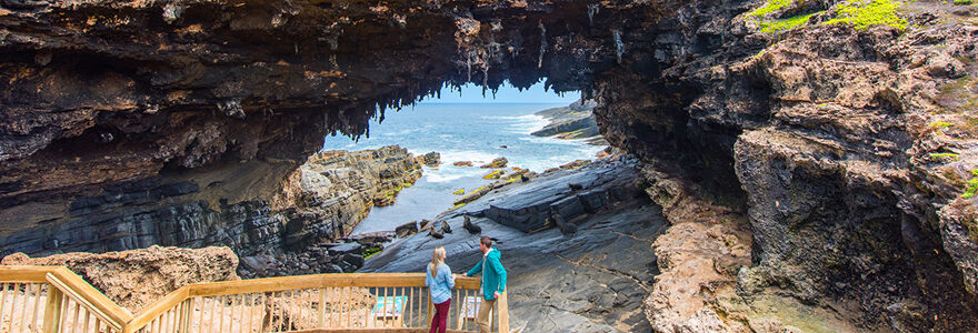 kangarou Island