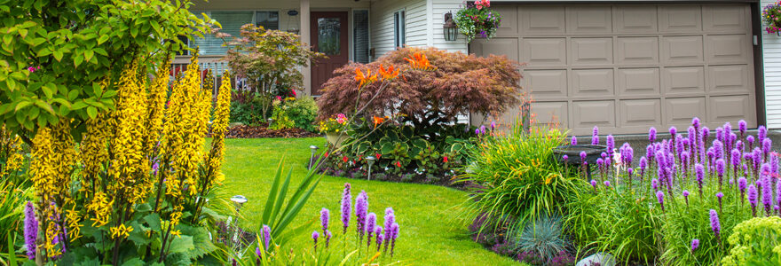 entretenir un jardin vert